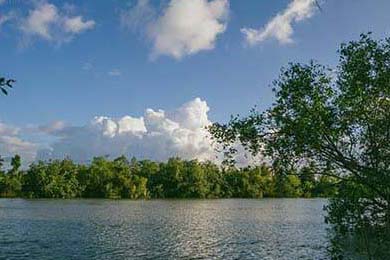 篮球运动员竞技状态实时监控及训练调整系统开发，篮球运动员在比赛中表现出的竞技水平